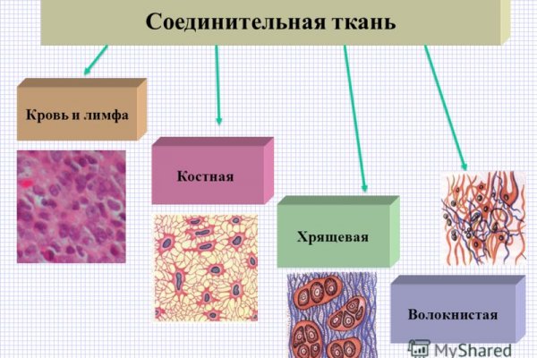 Kraken актуальные зеркала krakentor site