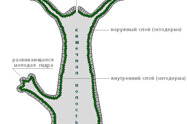 Кракен сайт krakens13 at