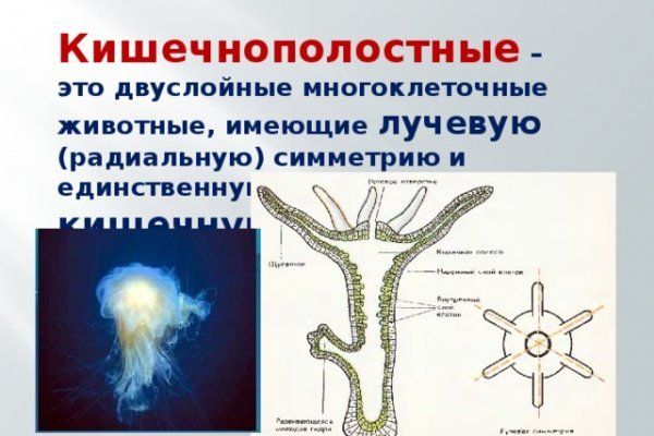 Магазин кракен дарк