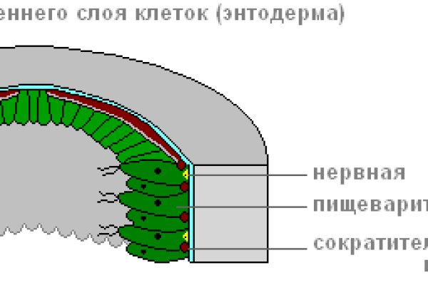 Кракен 2kr pro