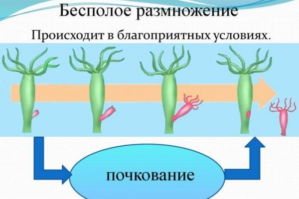 Кракен новое зеркало